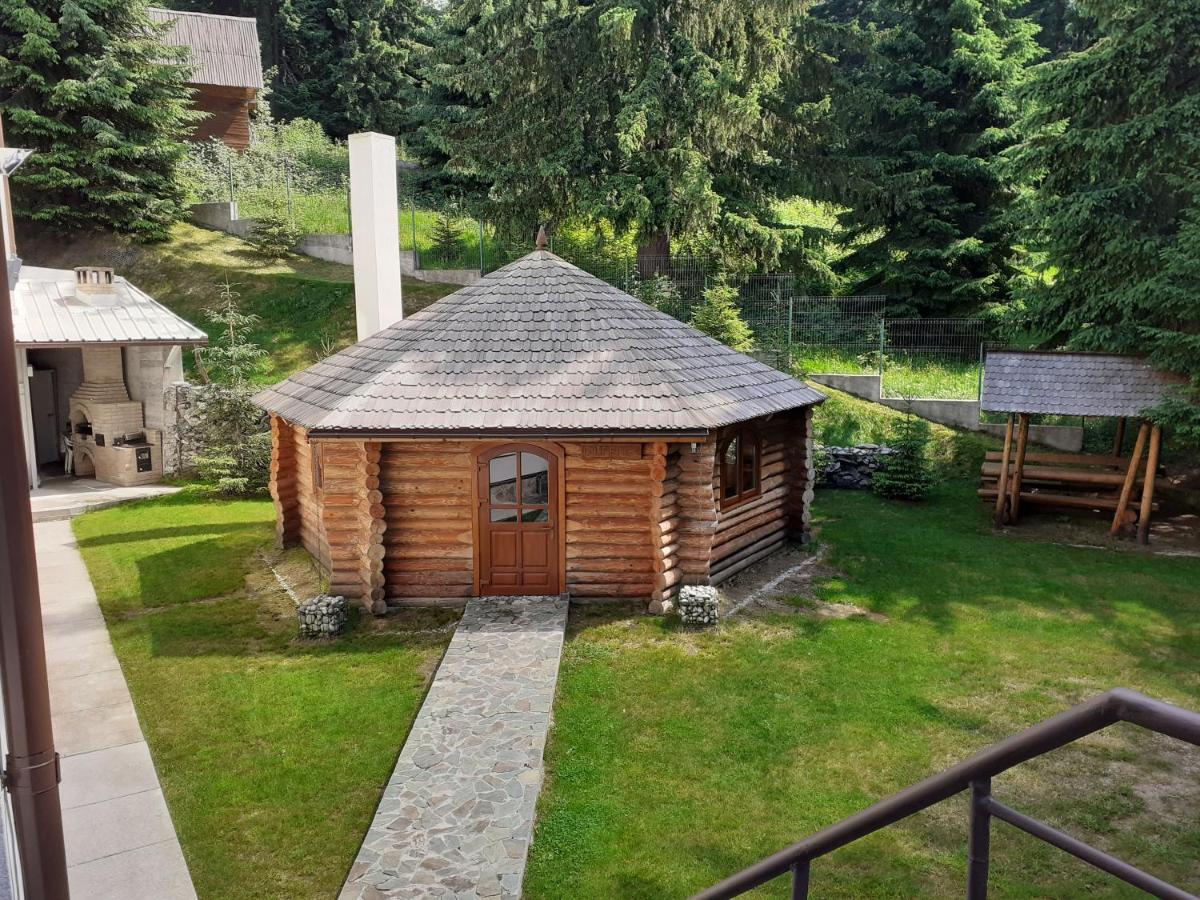 Pensiunea Constantin Ranca Exteriör bild
